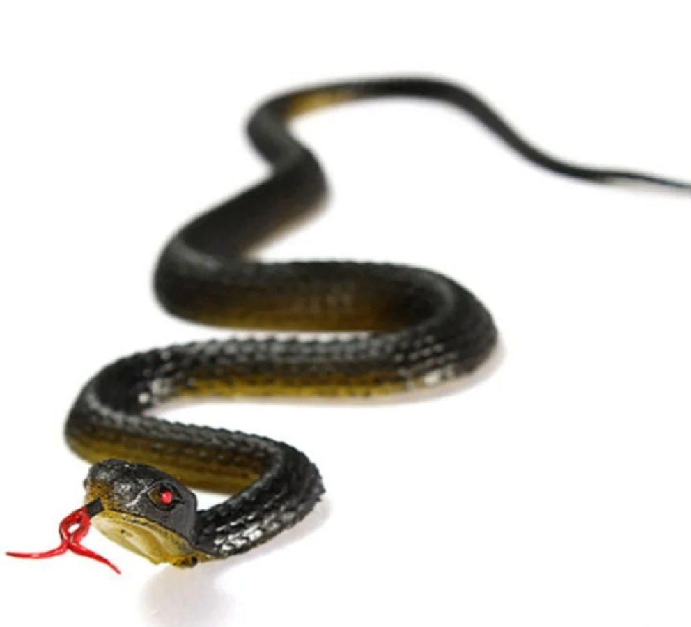 Prank Toys - Serpiente de juguete de goma realista